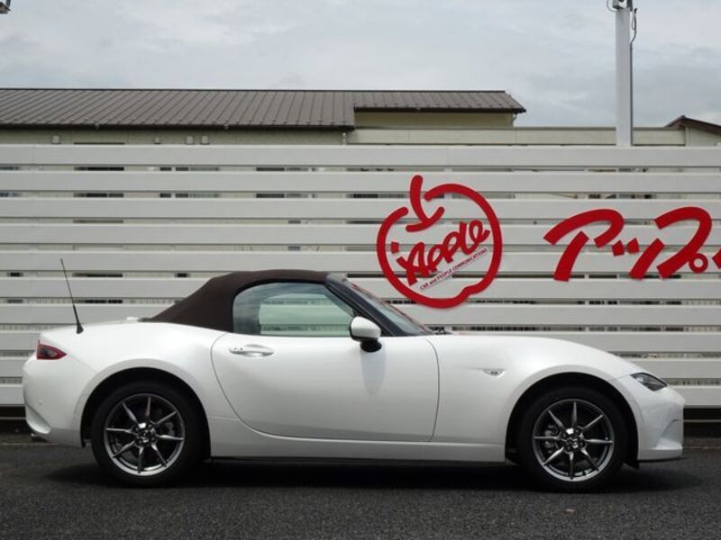 ROADSTER
