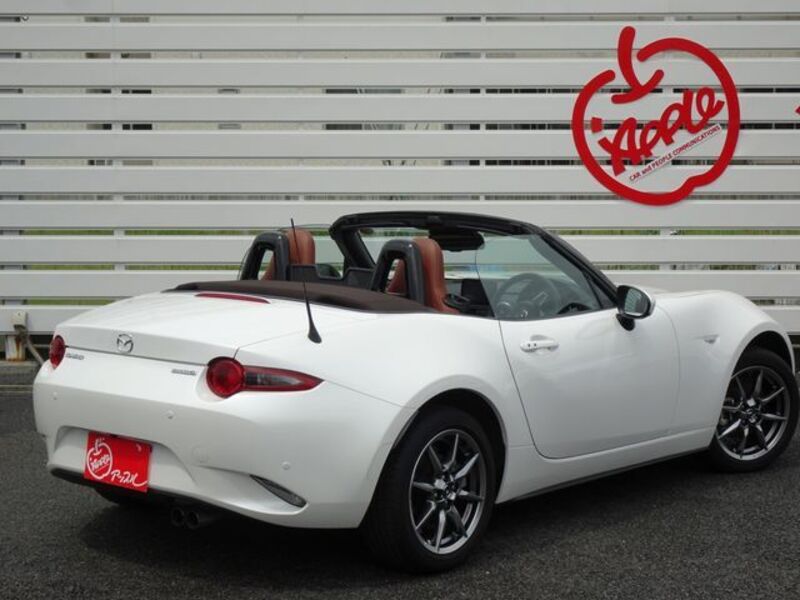 ROADSTER