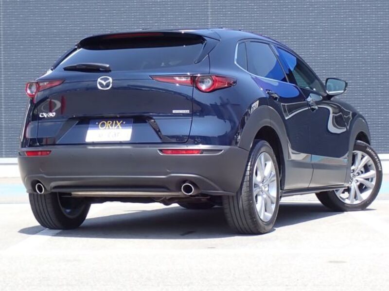 CX-30