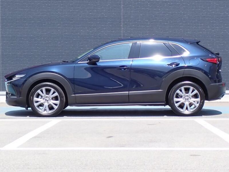 CX-30