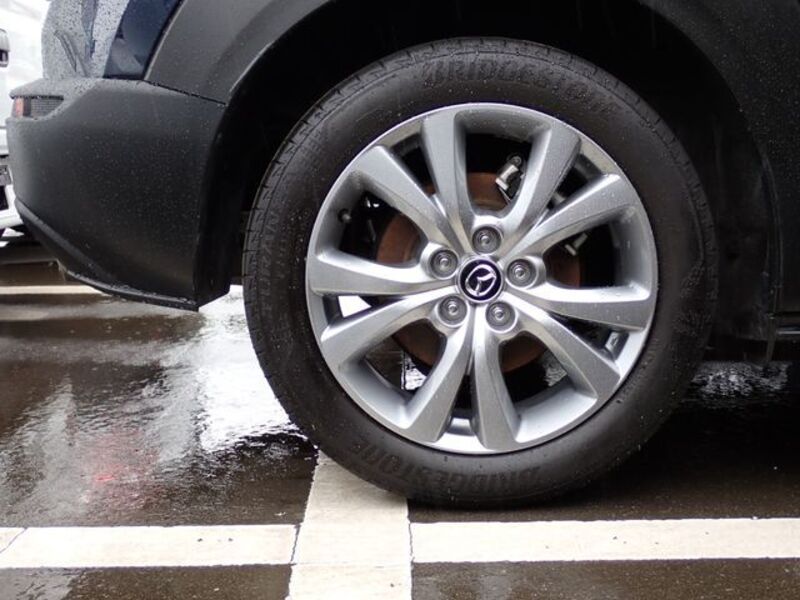 CX-30