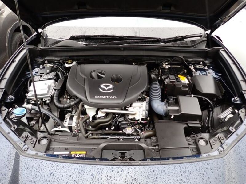 CX-30