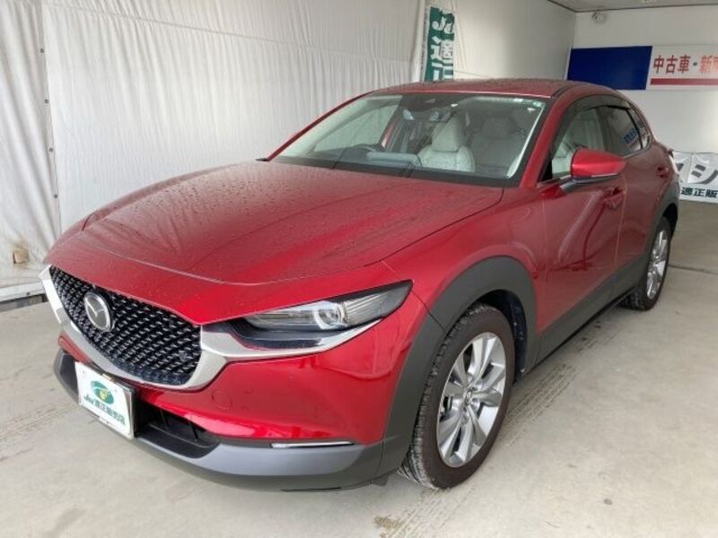 CX-30