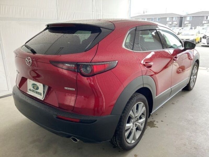 CX-30