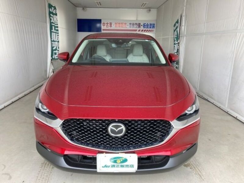 CX-30