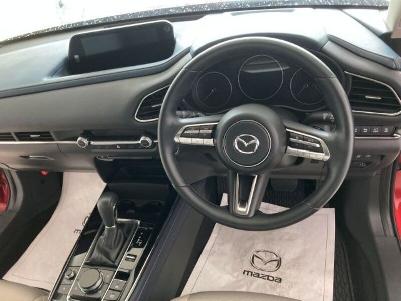 CX-30