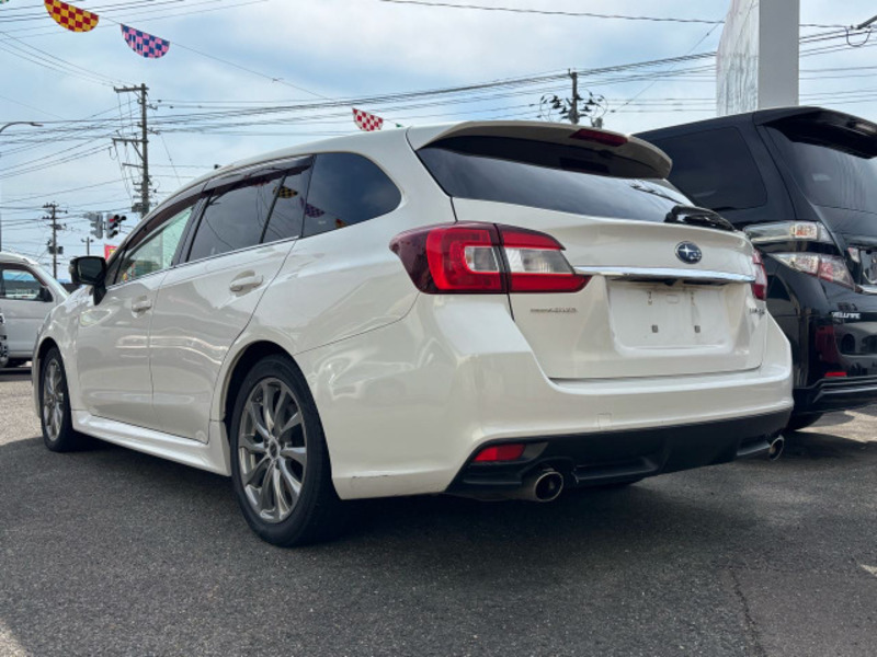 LEVORG