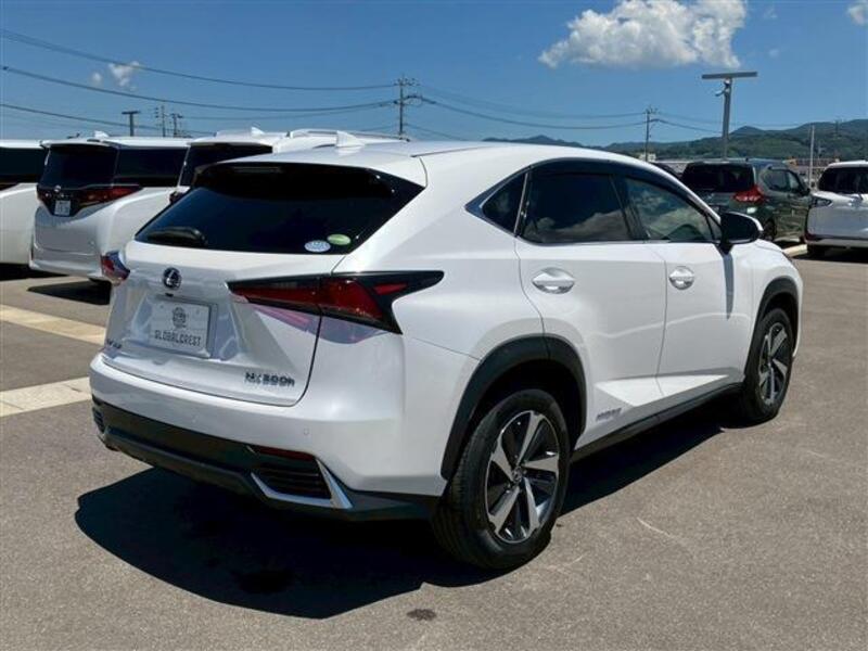 NX