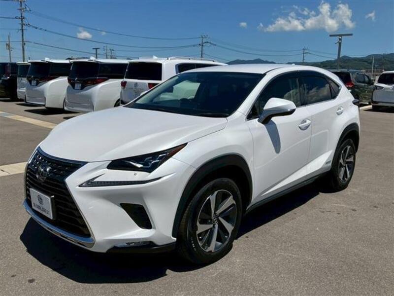 NX