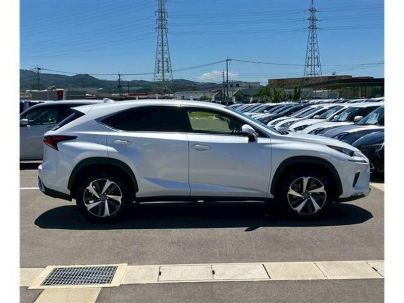 NX