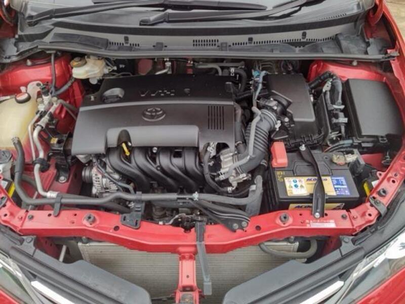 AURIS