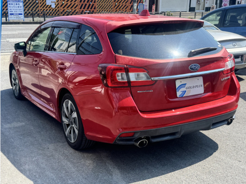 LEVORG