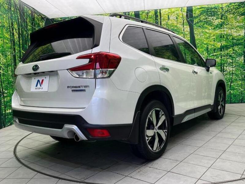 FORESTER