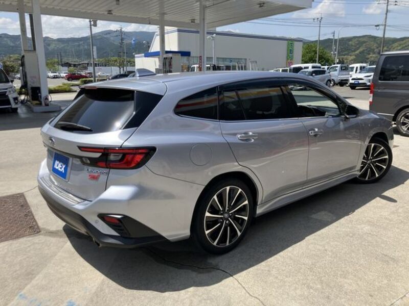 LEVORG