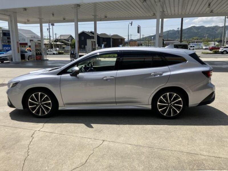 LEVORG