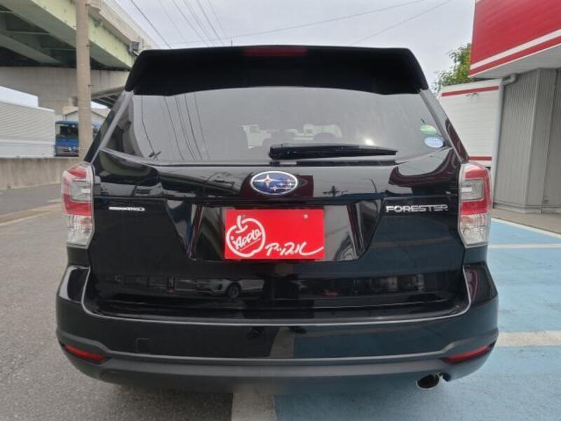 FORESTER