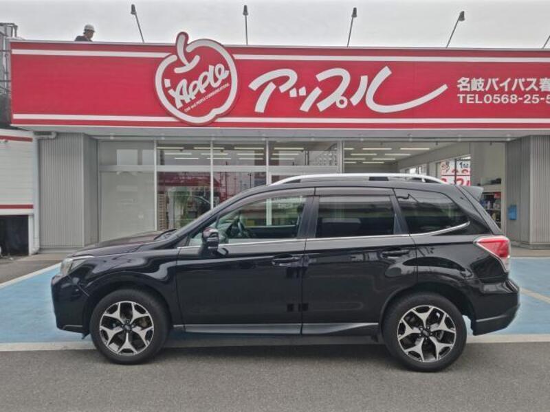 FORESTER