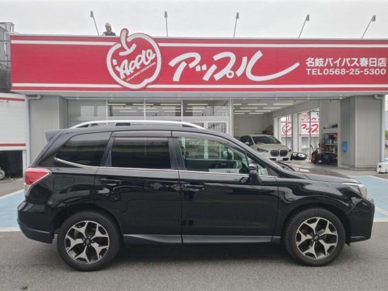 FORESTER
