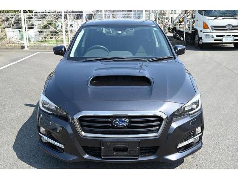 LEVORG