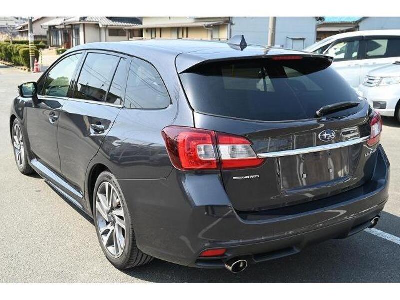 LEVORG
