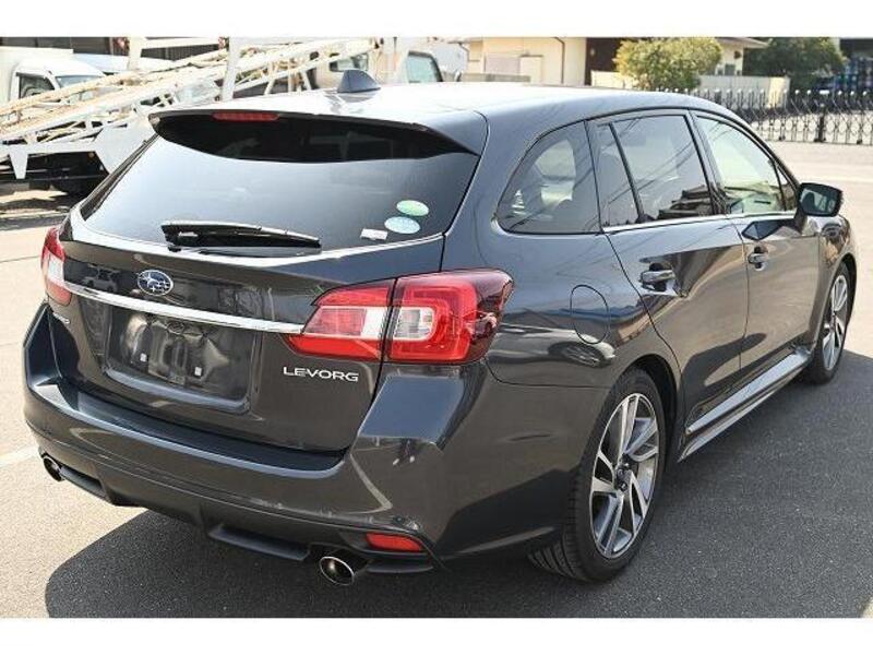 LEVORG