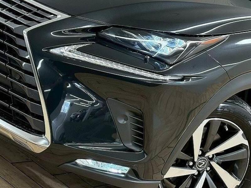 NX