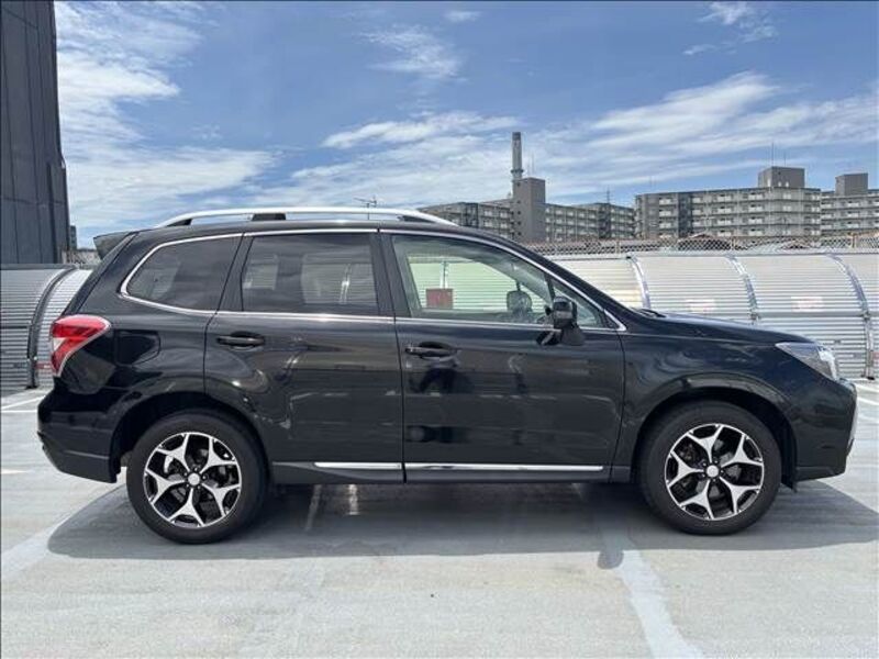 FORESTER