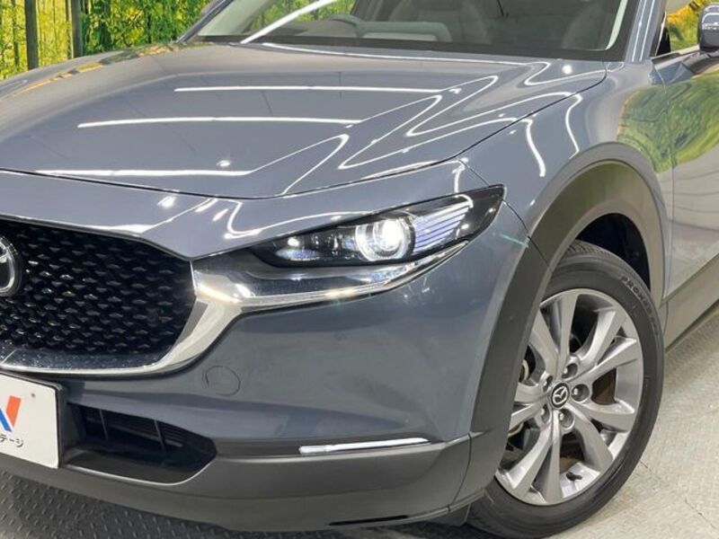 CX-30