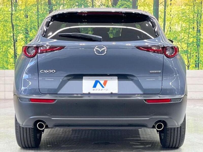 CX-30