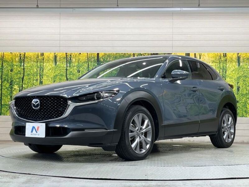 CX-30