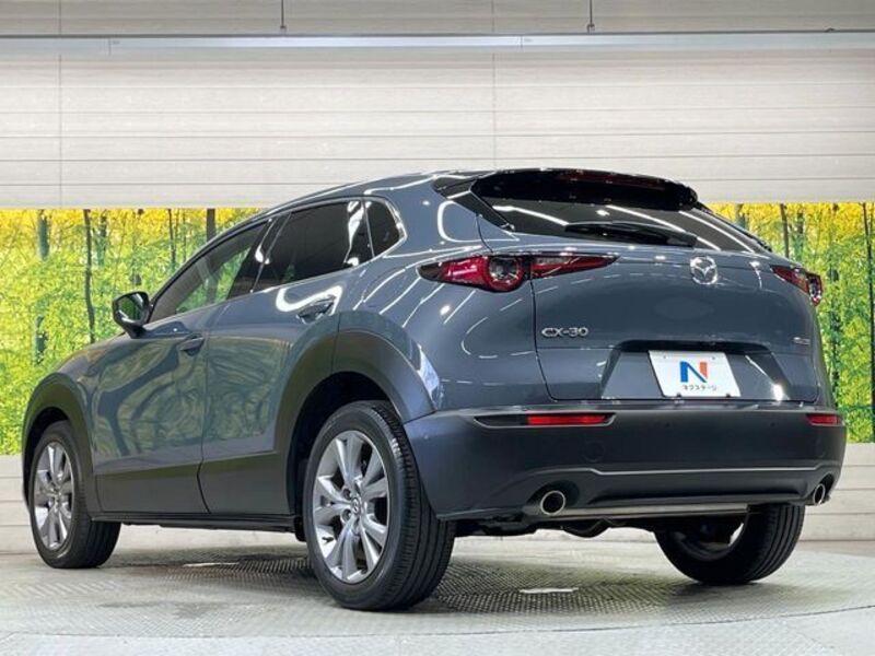 CX-30