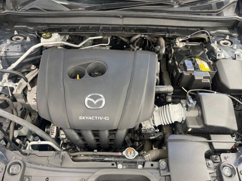 CX-30