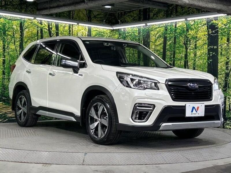 FORESTER