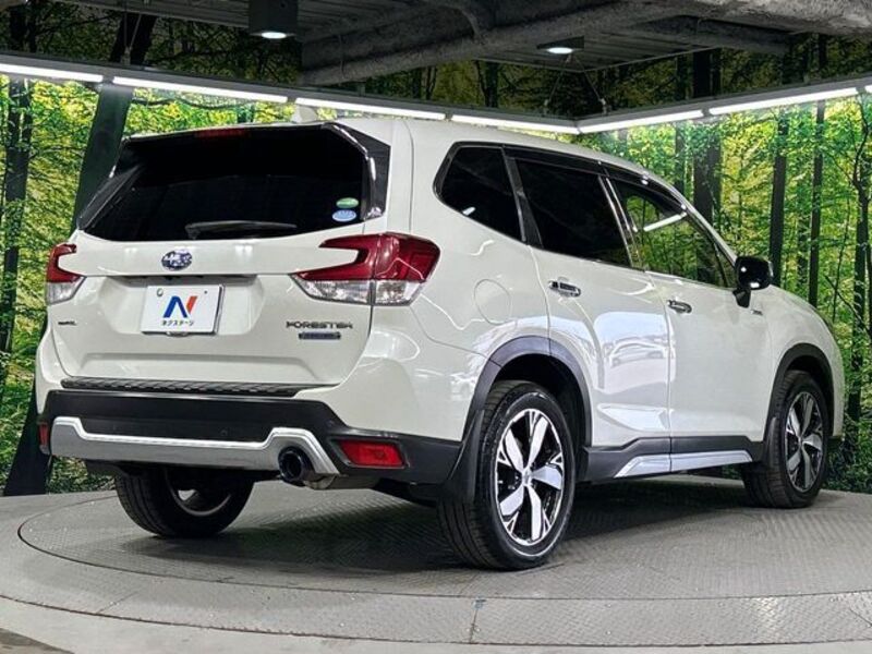 FORESTER
