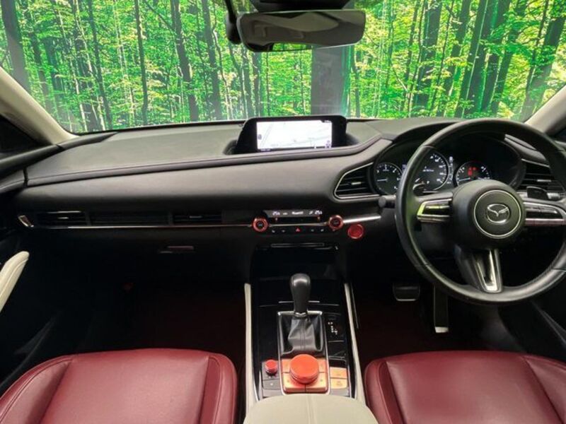 CX-30