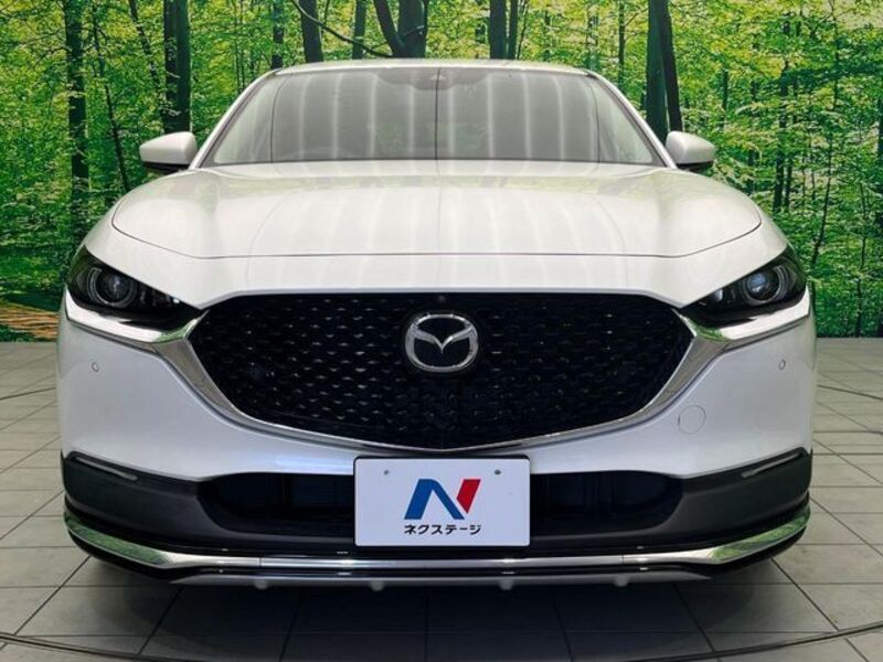 CX-30