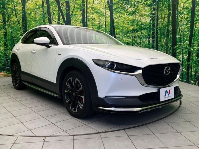 CX-30
