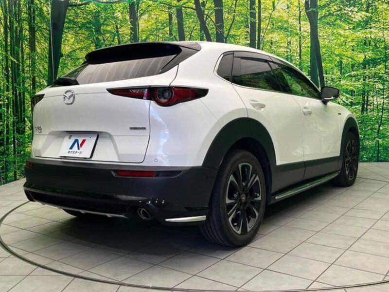 CX-30