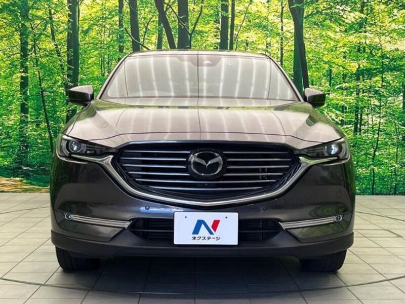 CX-8