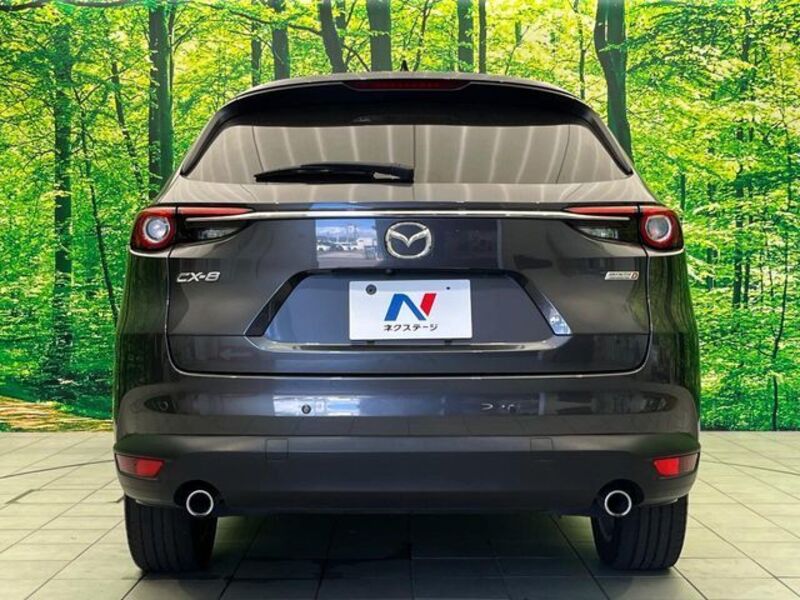 CX-8