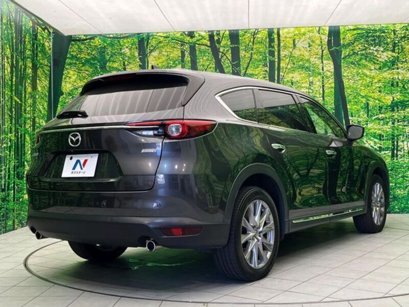 CX-8