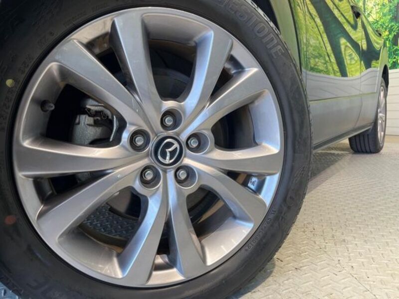 CX-30