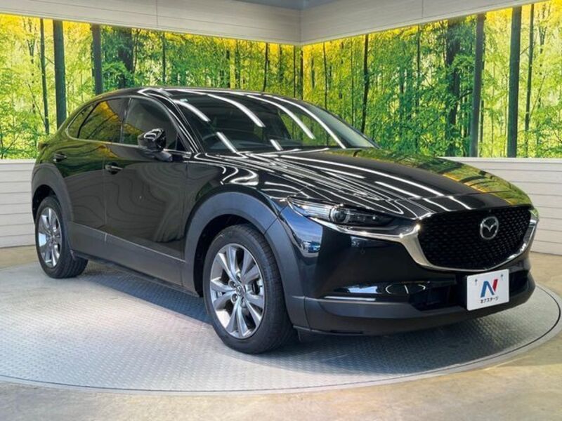 CX-30