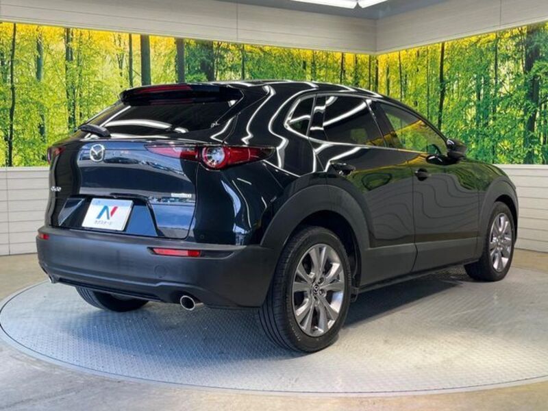 CX-30