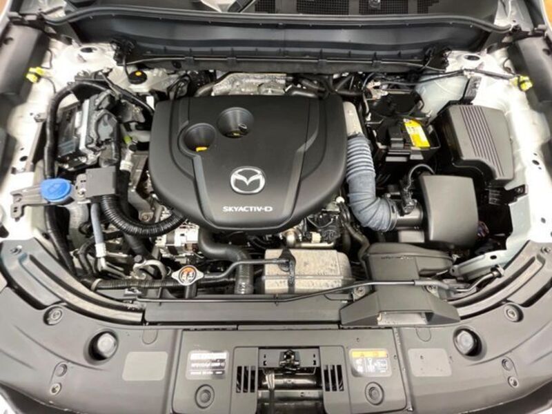 CX-8