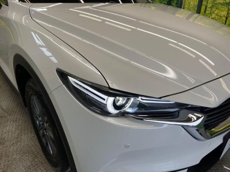 CX-8