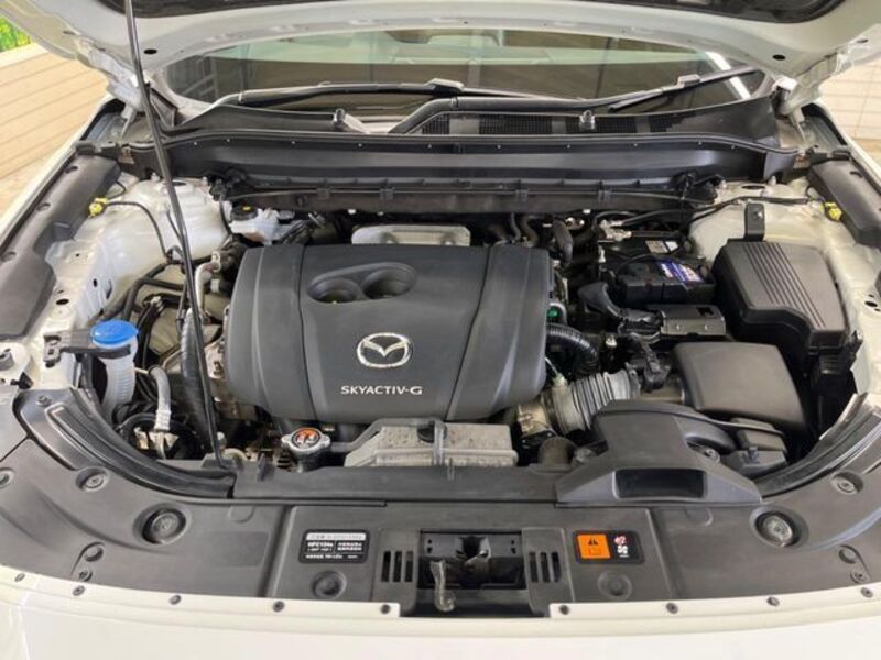 CX-8