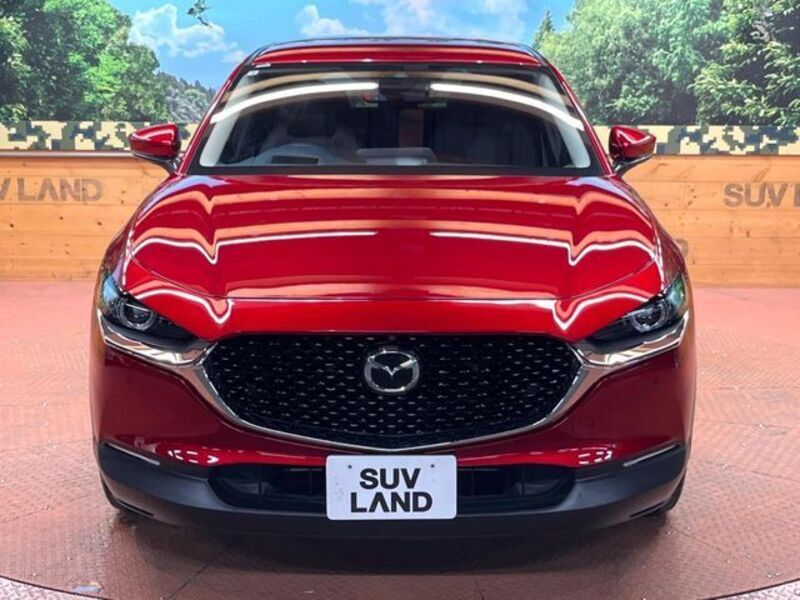 CX-30