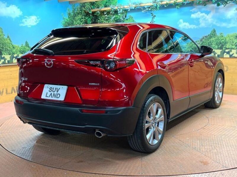 CX-30