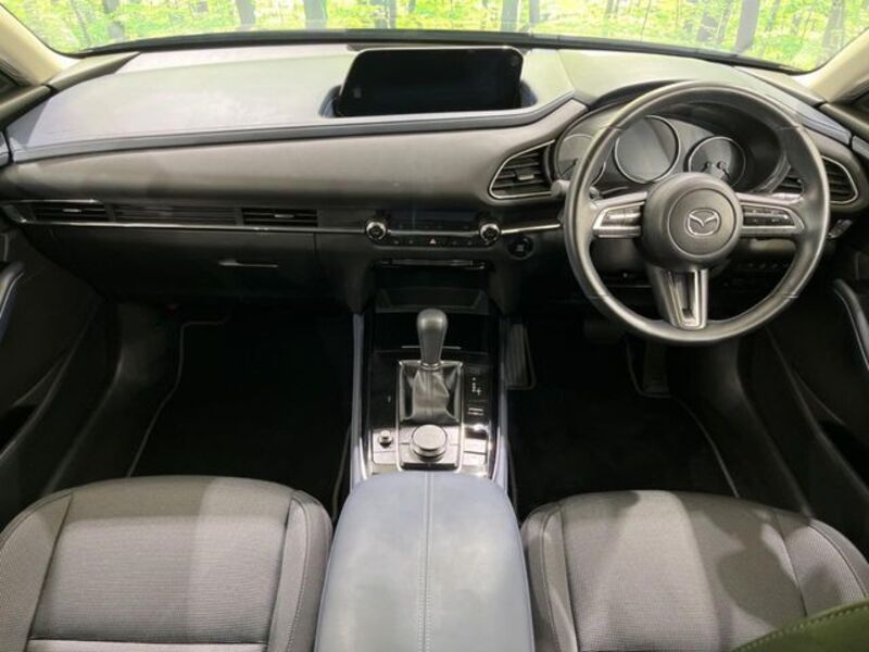 CX-30